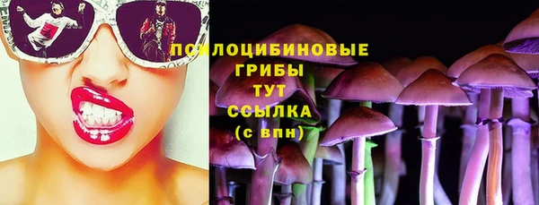 МДПВ Богородицк