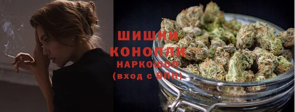 МДПВ Богородицк