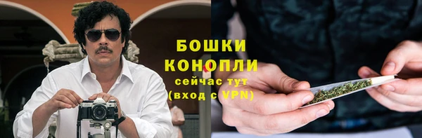 молекула духа Богородск