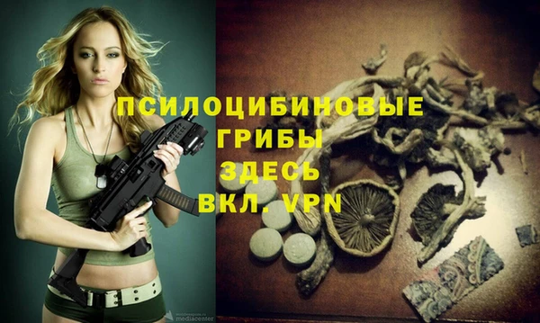 молекула духа Богородск