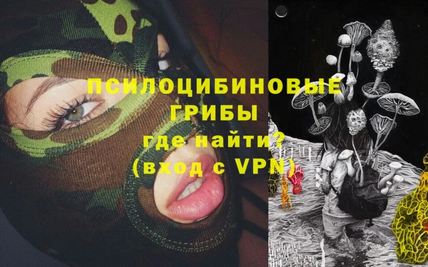 молекула духа Богородск