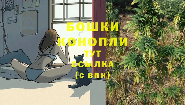 молекула духа Богородск