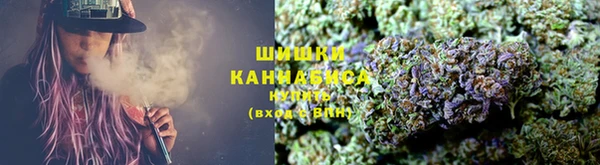 МДПВ Богородицк