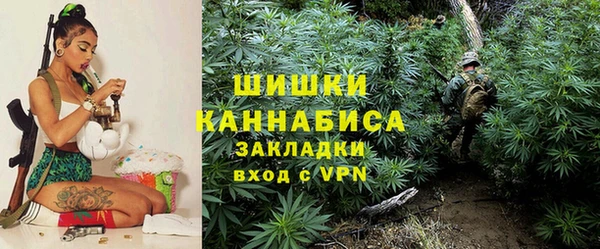 МДПВ Богородицк